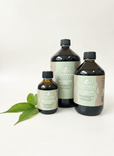 Premium Bala Ashvagandha Thailam, 2DL & 1 liter glass bottles (also as hair oil)