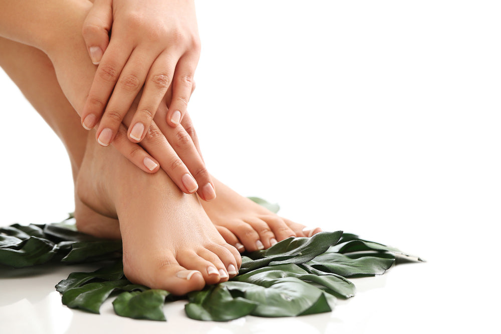 Ayurveda Paradies Schweiz
