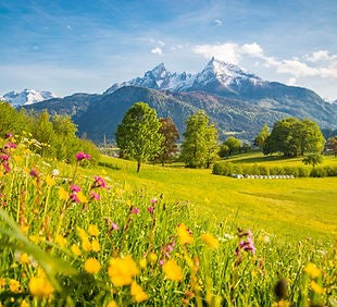 Ayurveda Coaching Days - 5 Tage für deine Gesundheit & innere Balance !