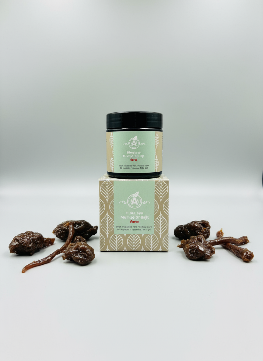 AYURVEDA-PARADIES Himalaya Mumijo Shilajit forte, 60 Kapseln 500mg