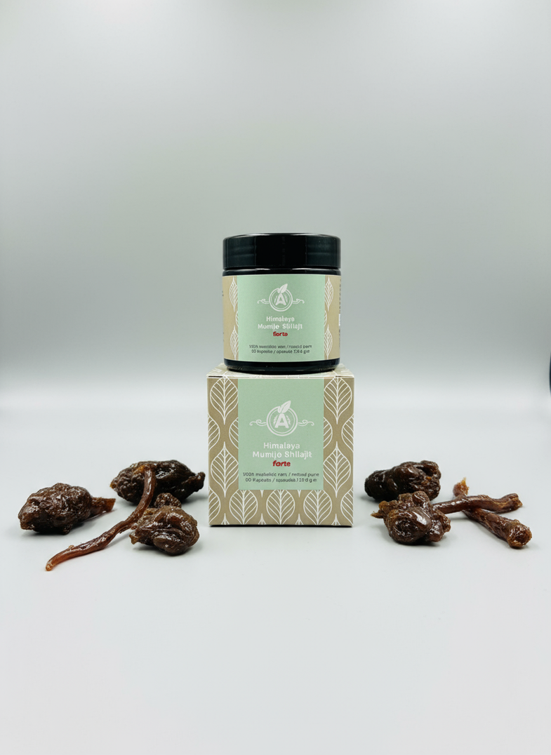 Mumijo-Shilajit-Forte-500mg-ayurveda-paradies-1