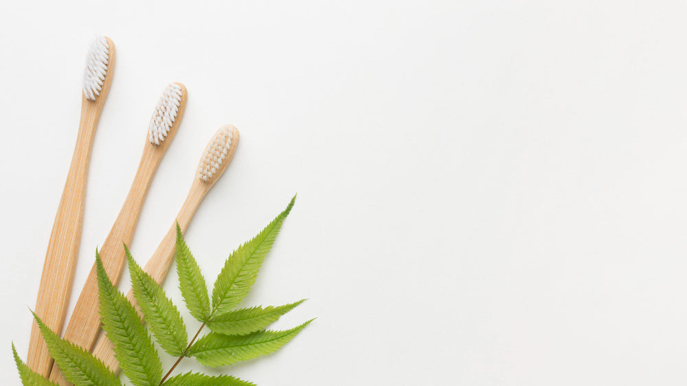 Ayurveda Paradies Schweiz